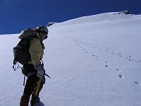 IMG_6305