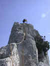 dentel04_03.jpg (8141 octets)