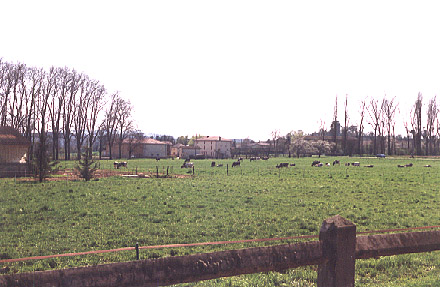 photo_ferme_paturages.jpg (58752 octets)