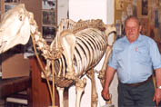 musee_dornier.jpg (12976 octets)