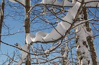 petit_som_068