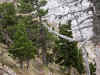 cham_arriv_jardin.jpg (132147 octets)