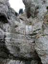 cham_cascade_gelee.jpg (118731 octets)