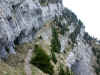 cham_chemin_balcon.jpg (113530 octets)