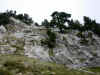 cham_dep_falaise.jpg (107180 octets)