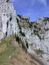 lanfon_arete_herbeuse.jpg (35924 octets)