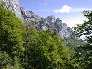 les petites roches