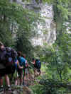 vercors_passage_foret.jpg (18087 octets)