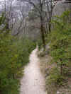 verdon_sentier.jpg (22571 octets)